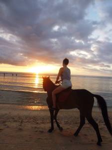 horse riding at sunset